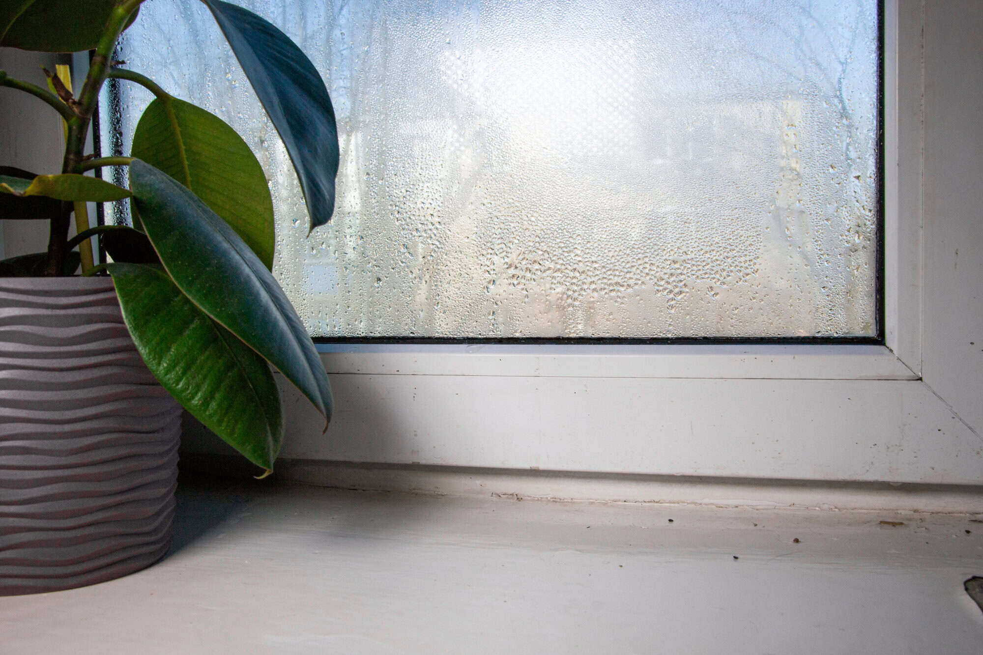 Condensation Inside Double Glazing