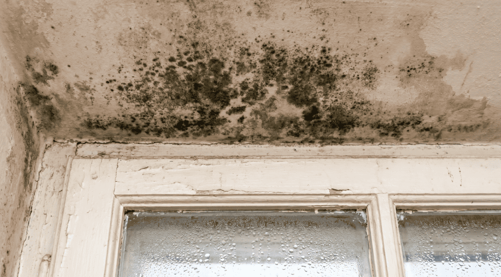thermal bridging around window frames explained